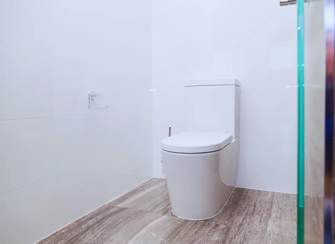 Remplacement de wc Jonquières