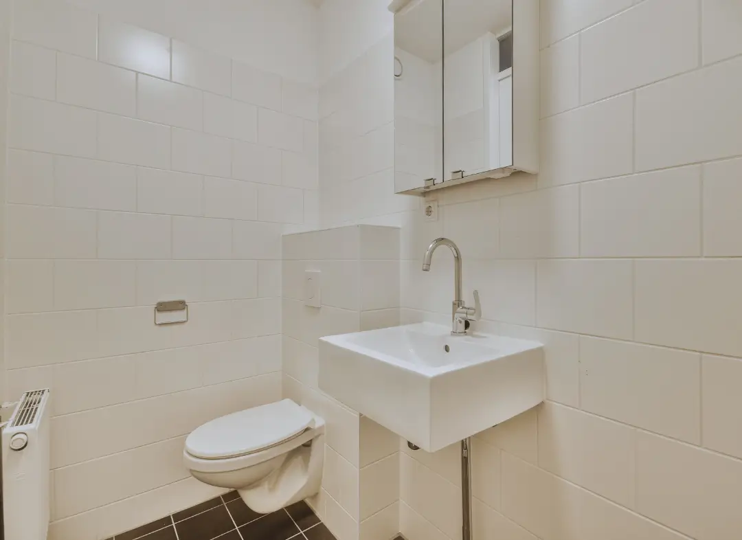 Pose WC Suspendu Jonquières